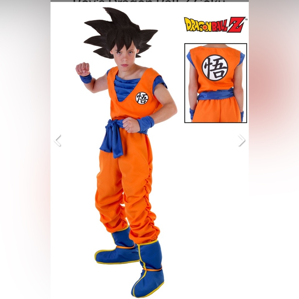 Boy’s Dragon Ball Z Goku Costume (kids Large)